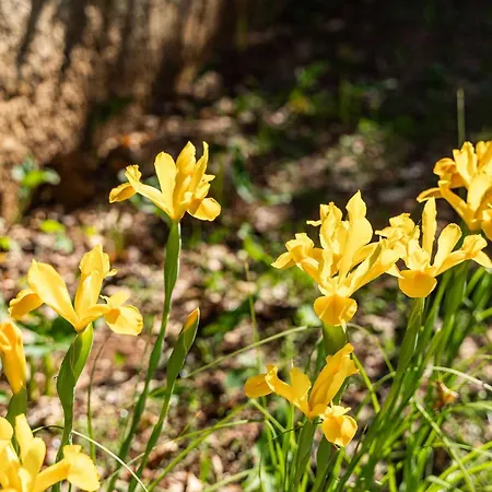 Kos - Two Bedroom With Terrace *