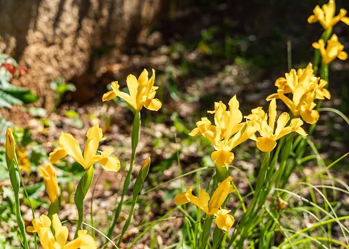 Kos - Two Bedroom With Terrace *