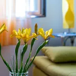 公寓 Kos - Two Bedroom With Terrace *